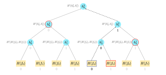 Classic merkle tree structure showing leaf nodes hashed up to a root